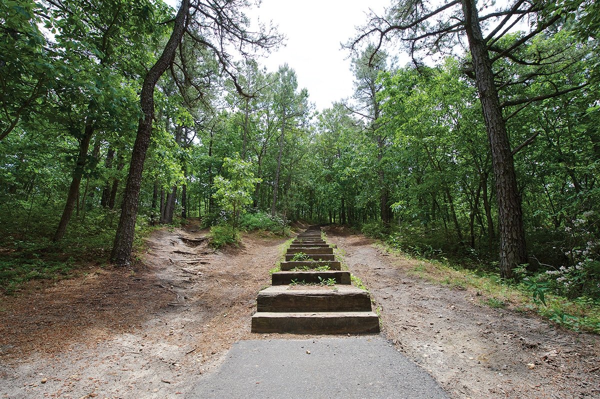 North Stiles, NJ - Where to Take a Hike in New Jersey - NJ Family